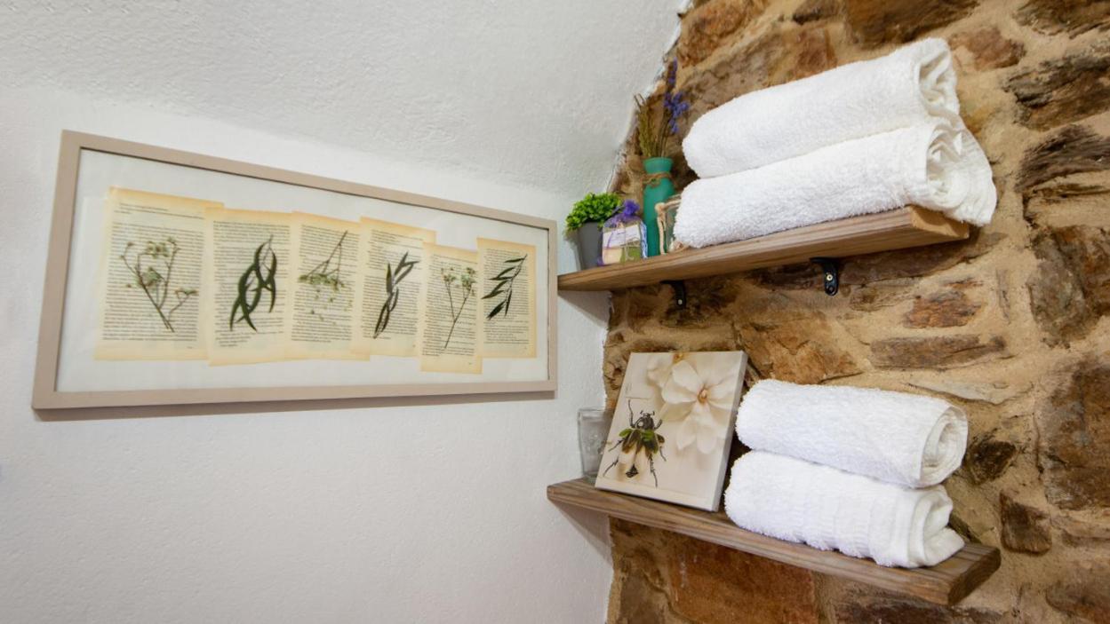 Apartamento Duplex Rural Con Chimenea Y Vistas Panoramicas Desde La Cama Sant Marti Sacalm المظهر الخارجي الصورة