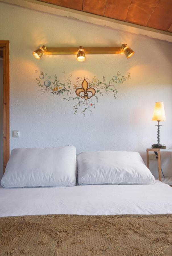 Apartamento Duplex Rural Con Chimenea Y Vistas Panoramicas Desde La Cama Sant Marti Sacalm المظهر الخارجي الصورة